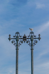 Fototapeta na wymiar A seagull standing on an old lamp post with some interesting shapes and the sky in the background, Bucharest, Romania