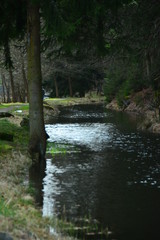 Fototapeta premium Natur Erzgebirge