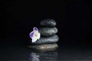 Obraz na płótnie Canvas Stones and flower in water on black background. Zen lifestyle