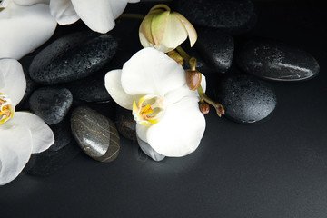 Stones and orchid flowers in water on black background. Zen lifestyle