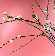 A wonderful set for a pleasant time for a couple in love.