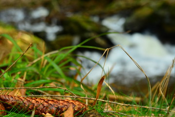 Im Erzgebirge Steinbach