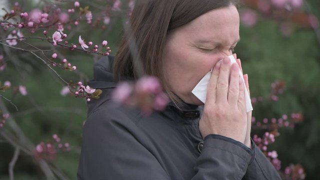 Tree pollen allergy in springtime concept