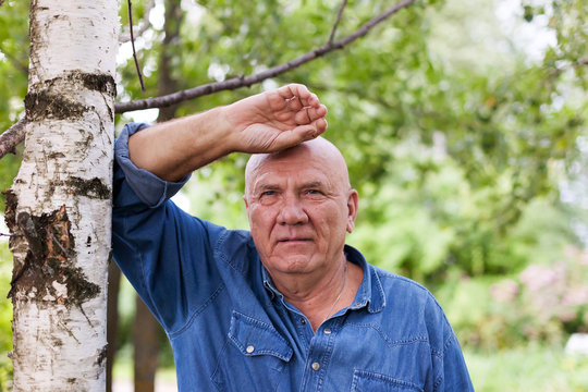 elderly man in   denim shirt near   birch trees.
