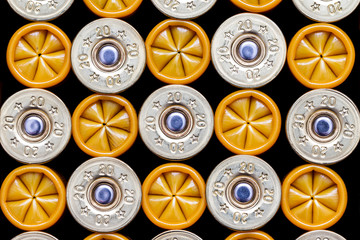 Close-up of 20 gauge shotgun cartridges used for hunting.