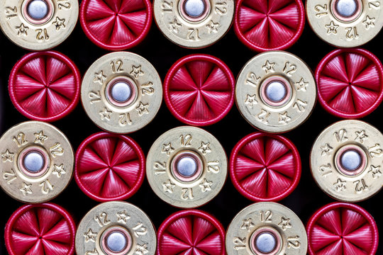 Close-up of 12 gauge shotgun cartridges used for hunting and olympic shooting