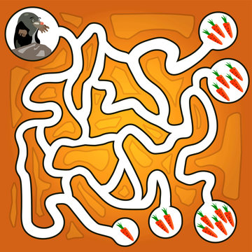 carrot maze
