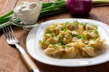 Dumplings with meat and sour cream. Russian national dish. Still-life.