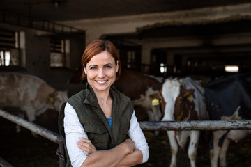 Woman worker standing on diary farm, agriculture industry.