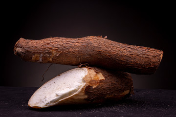 Unprepared samples of Cassava root with bark intact and white edible inside visible. Still life...