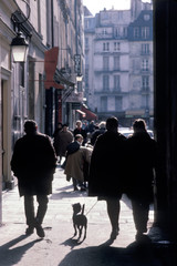 Obraz premium Pedestrians on Paris sidewalk with dog