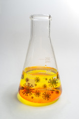 Coronavirus Infection Vaccine Cure