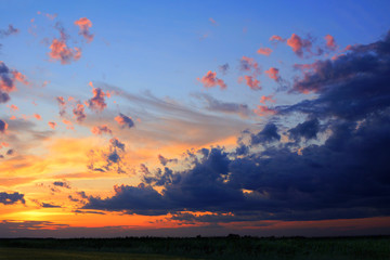 Colorful sunset over corn field