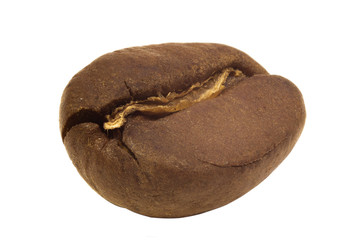 Coffee bean isolated macro