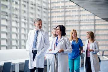 Group of doctors walking in corridor on medical conference.