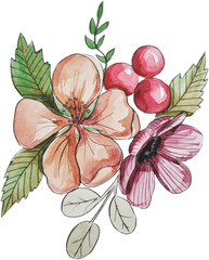 composition flowers with berries. Beautiful stylized spring flowers. watercolor illustration on white background