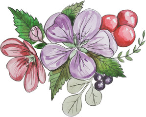 composition flowers with berries. Beautiful stylized spring flowers. watercolor illustration on white background