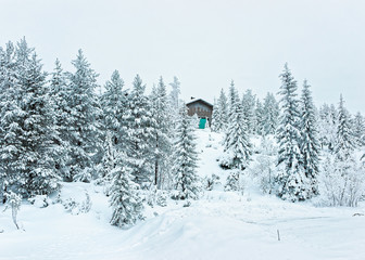 Wooden Cottage in the snow covered forest in Ruka in Finland in the Arctic pole circle