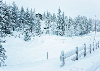 Wooden Cottage near the gate in the snow covered forest in Ruka in Finland in the Arctic pole circle