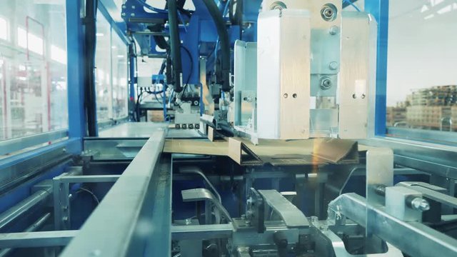 Cardboard boxes are being shaped by the factory conveyor