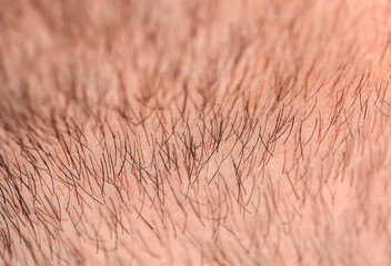 background with the texture of the face skin close up of a man covered with stiff hairs and bristles of different lengths and colors