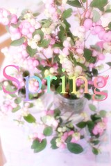 春のイメージ