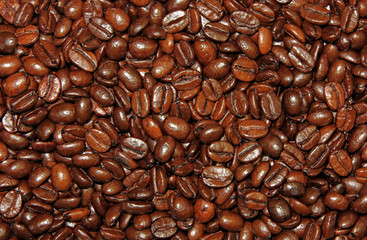 coffee beans background