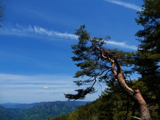 Obraz premium 高畑山からの景色