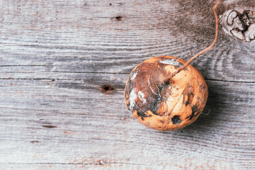 Spoiled turnip on wooden background. Garbage dump rotten food. Top view. Copy space. Rotten...