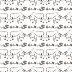 Vector Seamless pattern with hand drawn doodle Bull. Black and white Animal background
