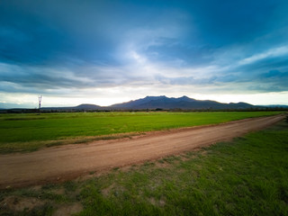 Obraz premium Sunset, sunrise on dirt road