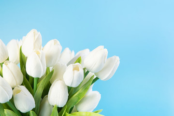 Bouquet of spring tulip flowers on a light blue background. concept of spring and sunny mood. postcard. Copy space