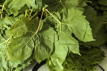 turkish food culture and stuffed leaves,