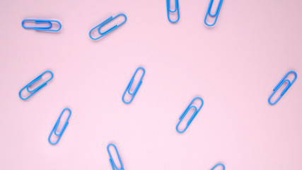 Blue paper clips on a pink background. Back to School Concept