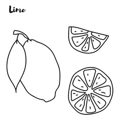 Lemon. Retro engraving style. Vector hand drawing