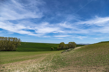 Fototapeta premium landscape in tuscany