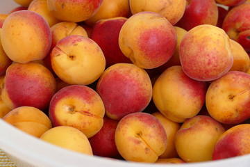 lots of pink-red great looking fresh apricots,