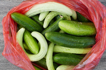 white cucumber and salt, pickle, lots of fresh garden cucumbers,
