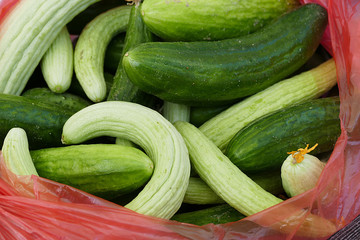 white cucumber and salt, pickle, lots of fresh garden cucumbers,