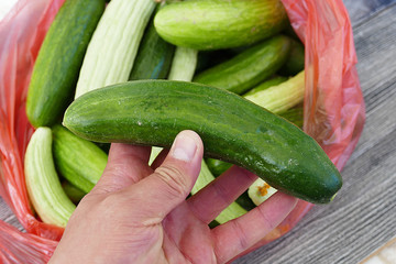 white cucumber and salt, pickle, lots of fresh garden cucumbers,