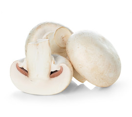 Mushroom champignon isolated on white background