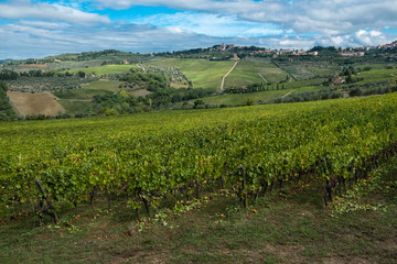 Fototapeta na wymiar Tuscan vineyards, fields and villages. Italy.
