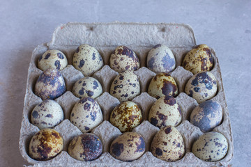 Fototapeta premium The quail eggs are in cardboard packaging on the table