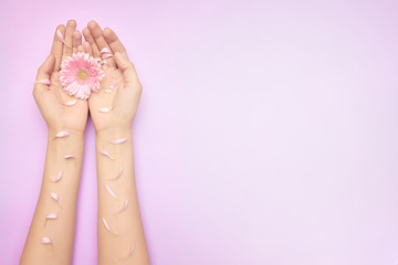Closeup womans hand with a bright pink gerbera flowers on a purple backround with copy space. Womens health concept. Concept of an advertisment of cosmetic product or skin care.