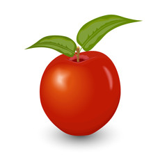 Red apple with two green leaves. Apple on a white background.