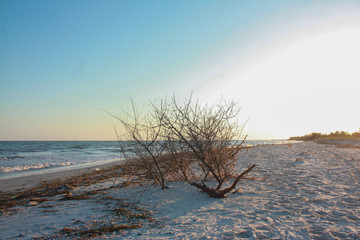 Landscape of Jarylgach Island, Ukraine. Black Sea coast.