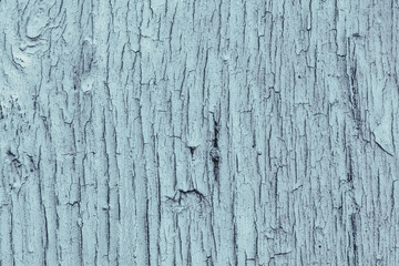 Texture of an old blackboard macro shot close-up
