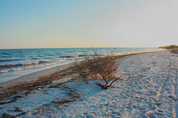 Landscape of Jarylgach Island, Ukraine. Black Sea coast.