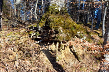 Road to the winter and touristic station Poiana Brasov, 12 km from Brasov, a town situated in Transylvania, Romania, in the center of the country
