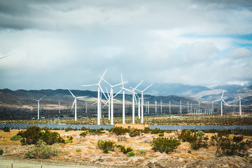 Palm Springs Windmills